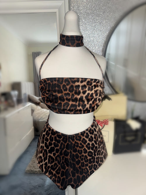 Leopard Coord
